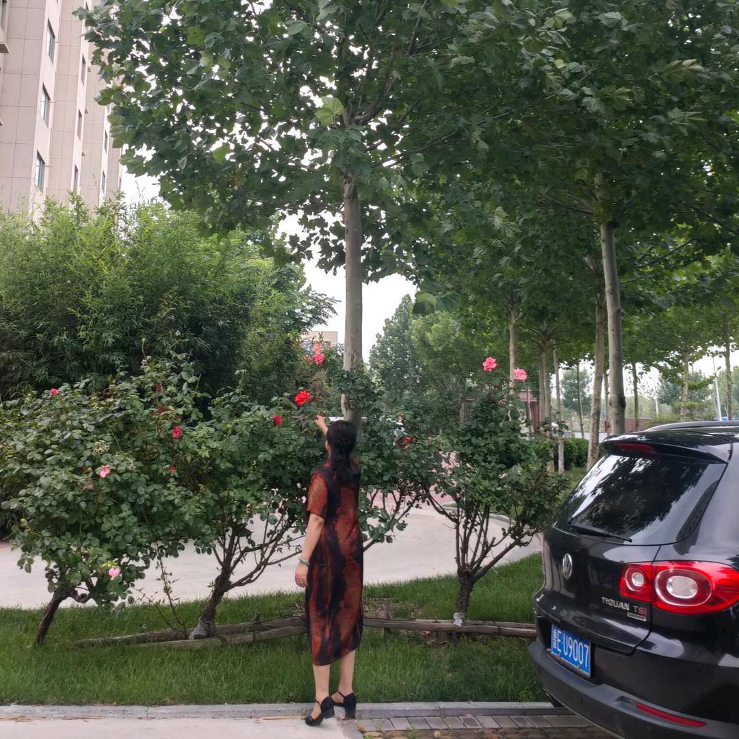 ✨芳