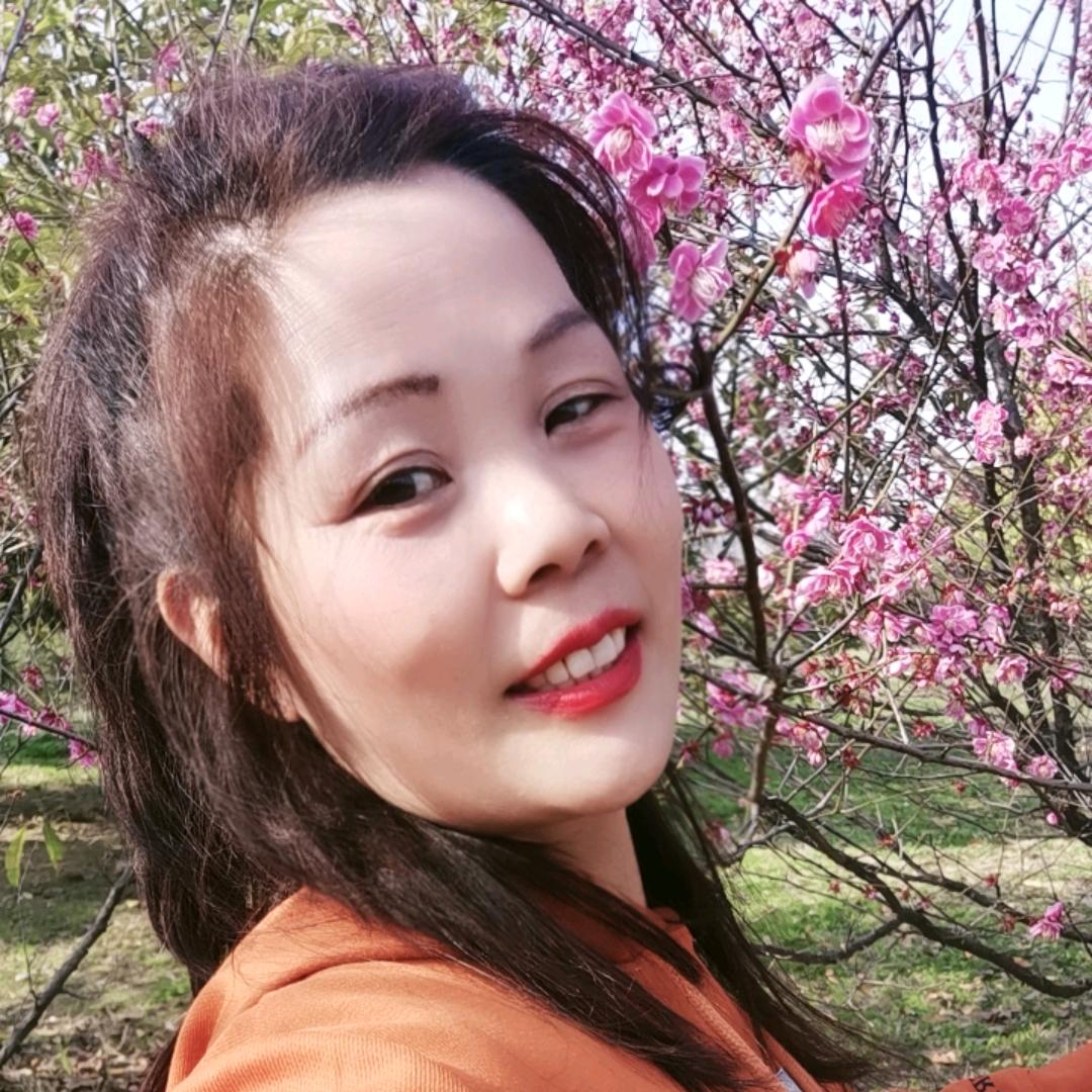 琴声悠扬