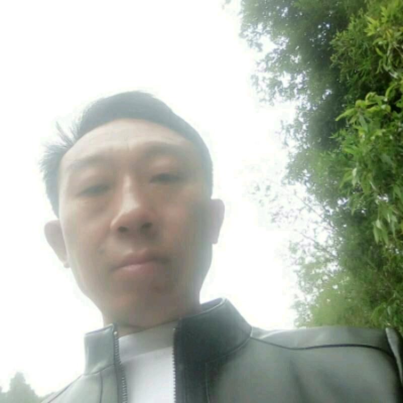 流浪在天涯