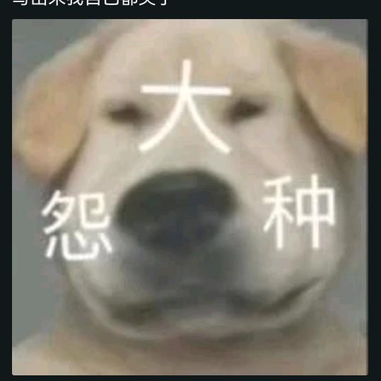 遇见夏天