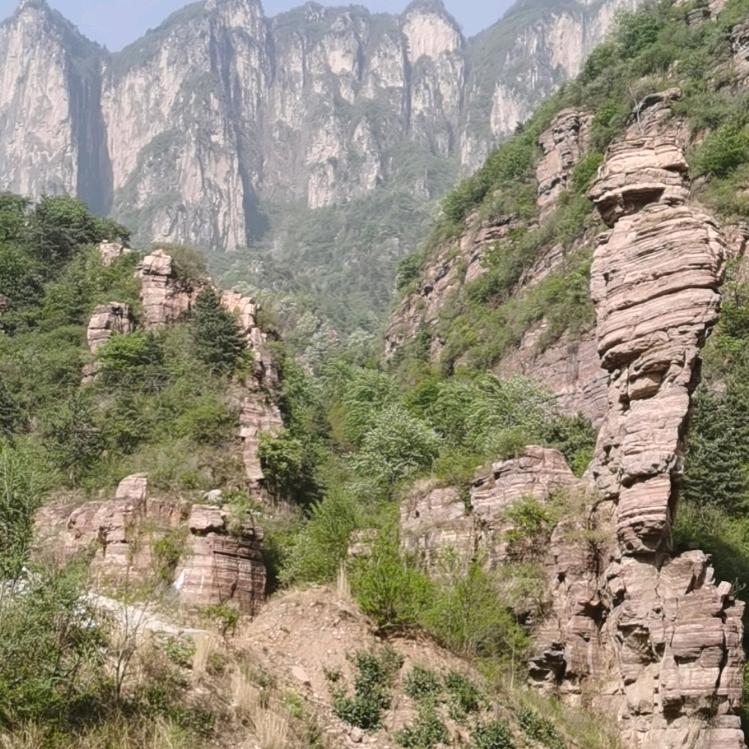 浊酒一杯无悲喜，半醉半醒方为真