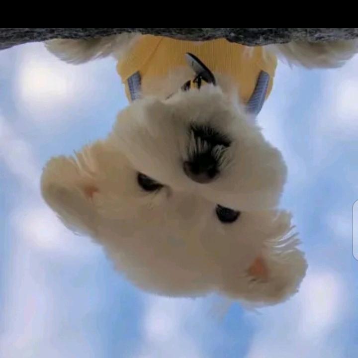 丽（报团取暖有关必回）