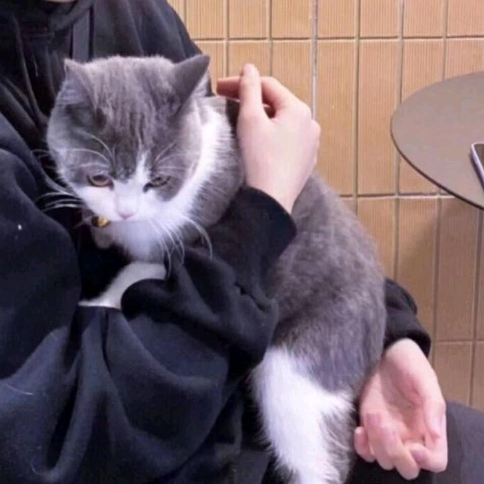 搞广西公文包的某某人