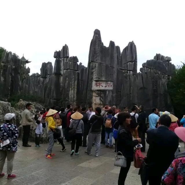 听涛