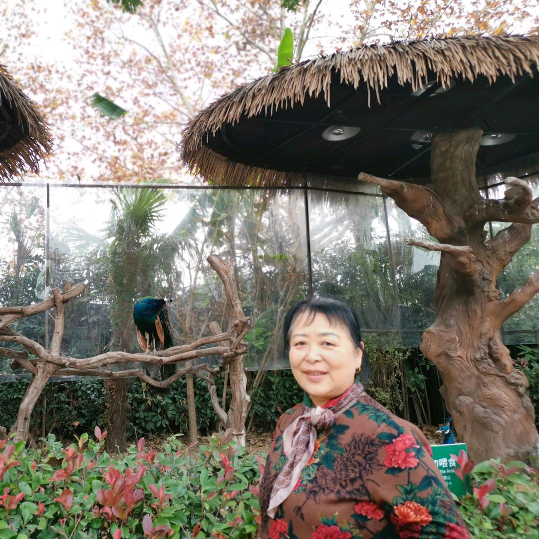 杨女士