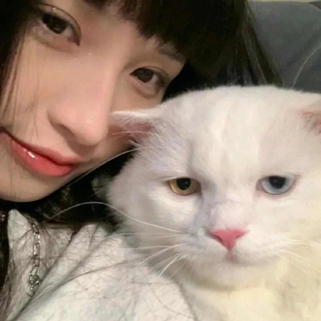 ✨付甜甜 🍬 🐰