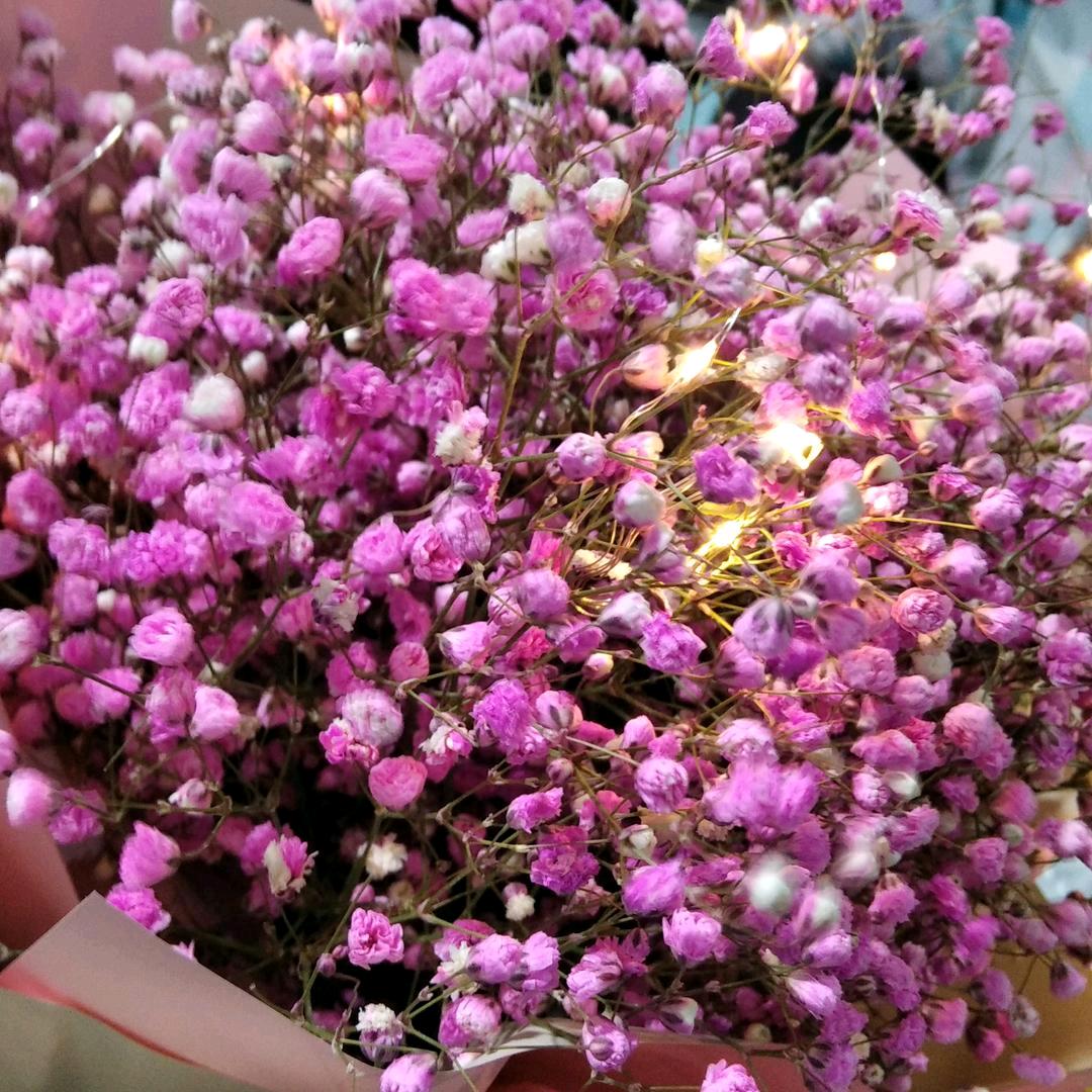 美好的事都将如期而至