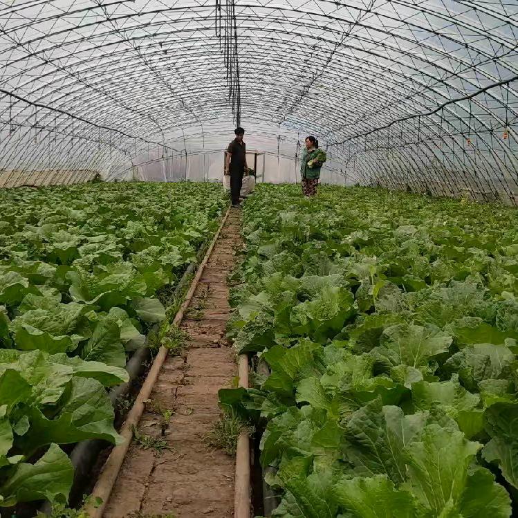 查干湖镇农家院