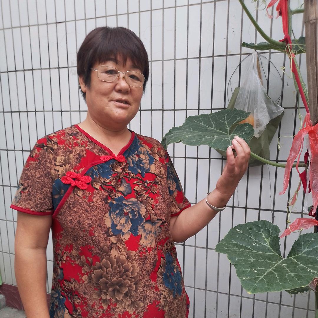 梅珠