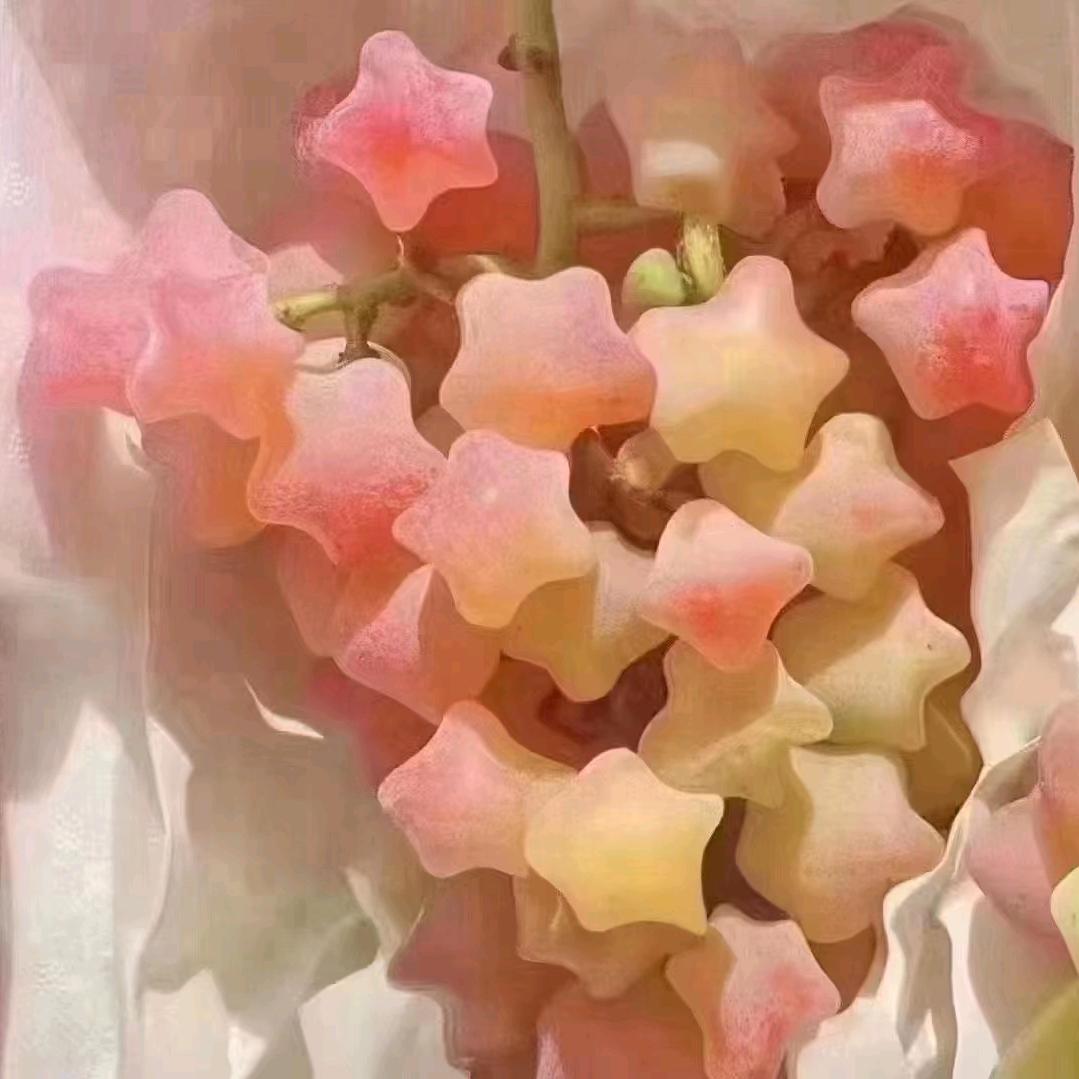 虚竹