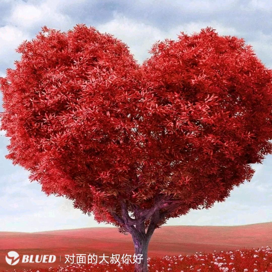 木子李先生