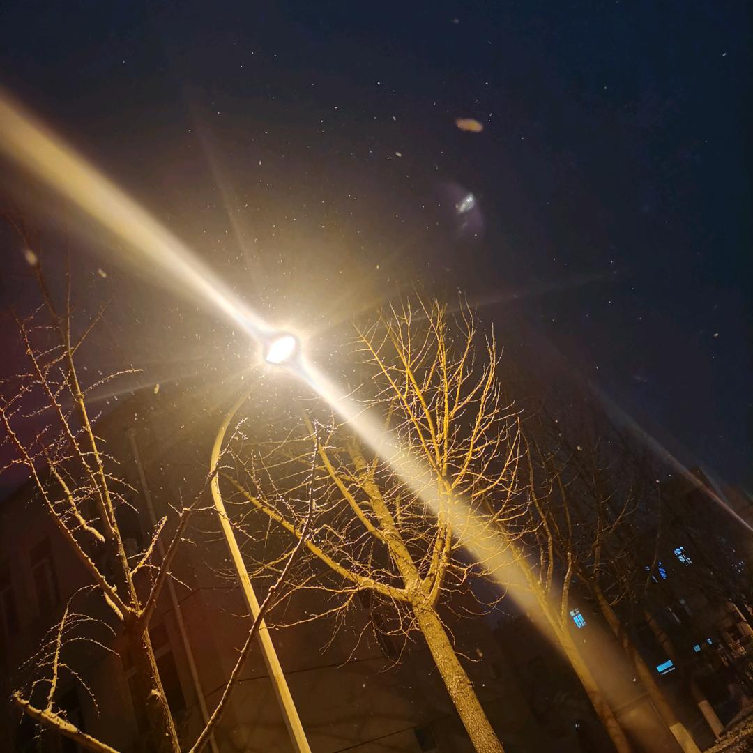 永远De不到的姐