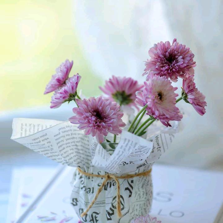 美丽的.法国情怀！