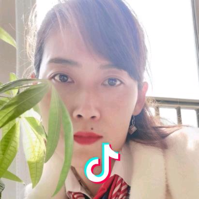 *财税梅子*
