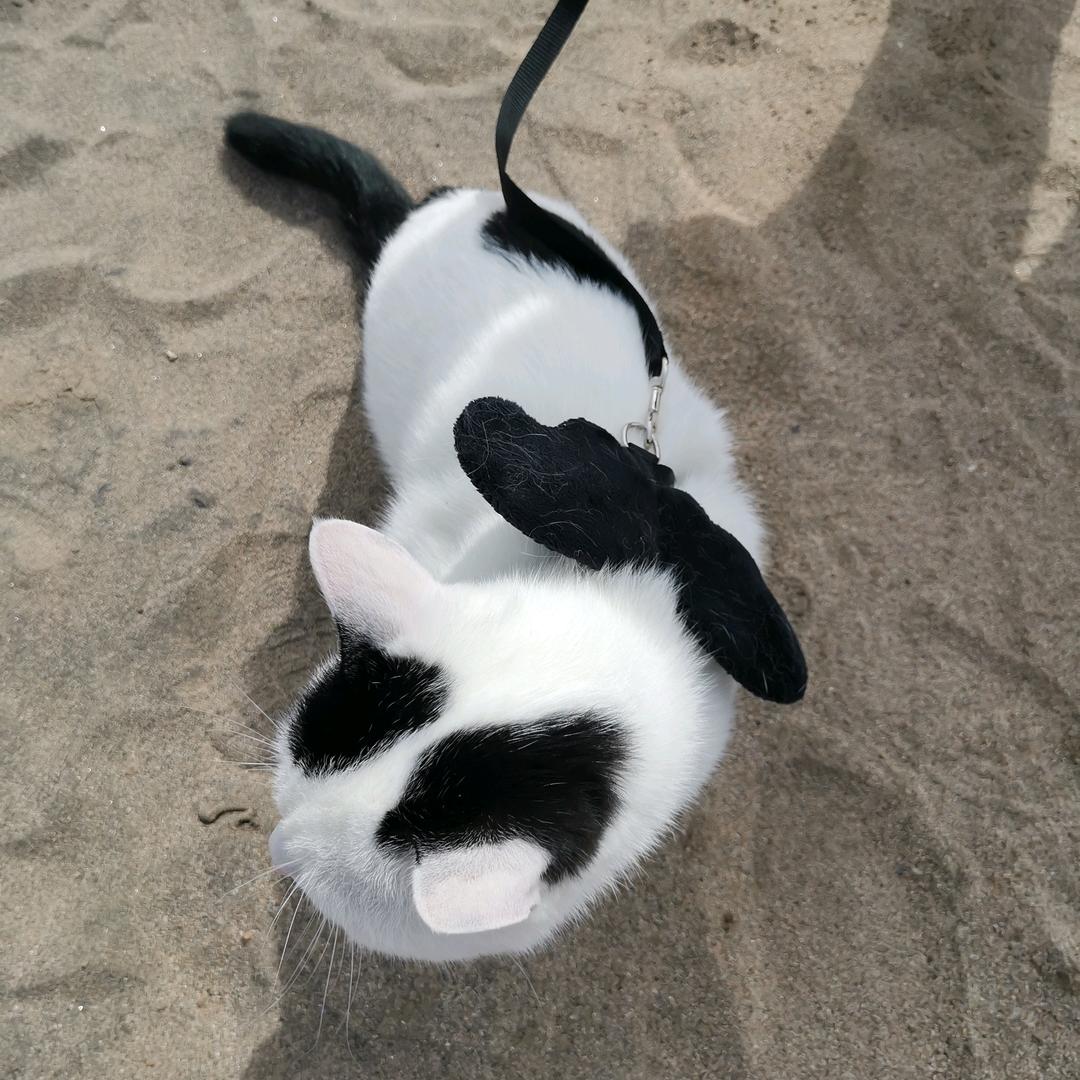 熙和