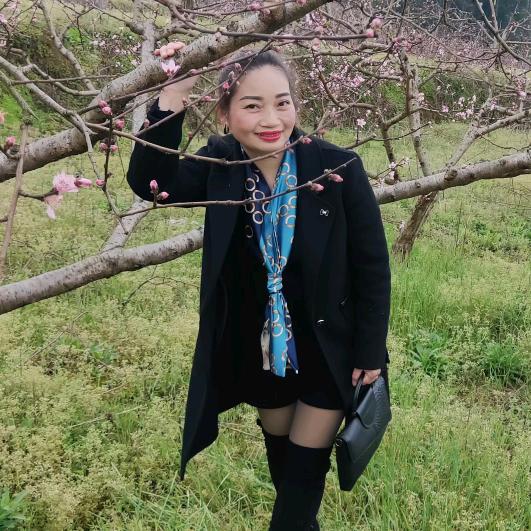 风里的梦