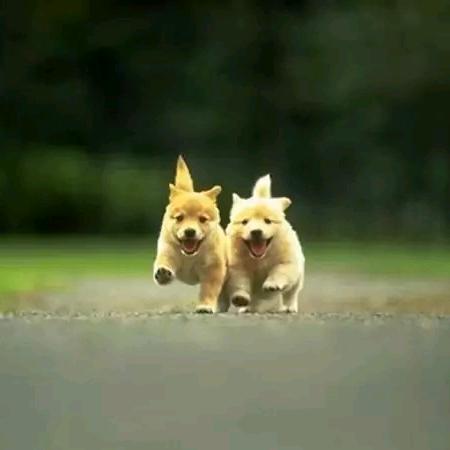 心中的陌生人