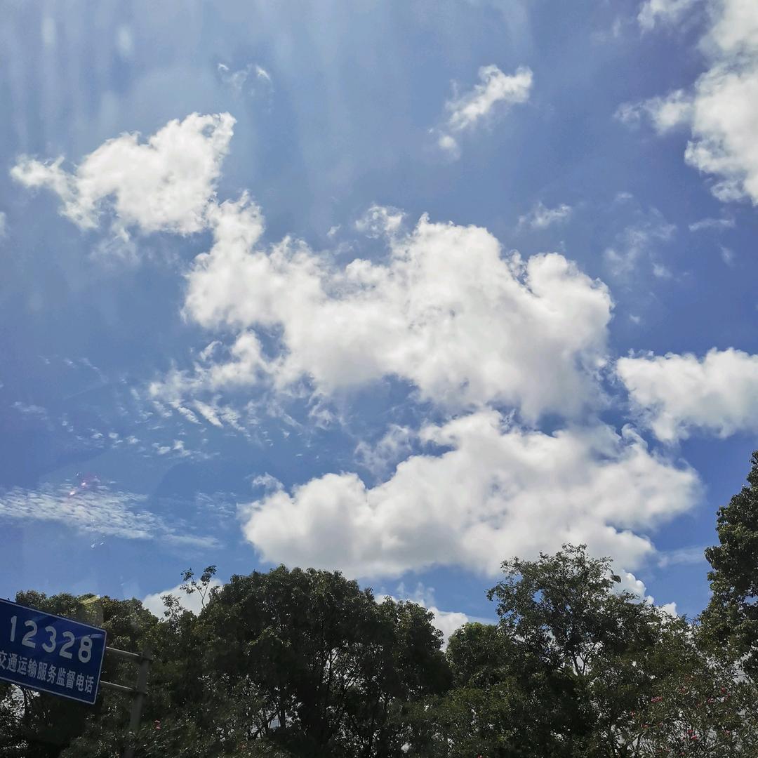 台州市路桥蓬信卷门厂