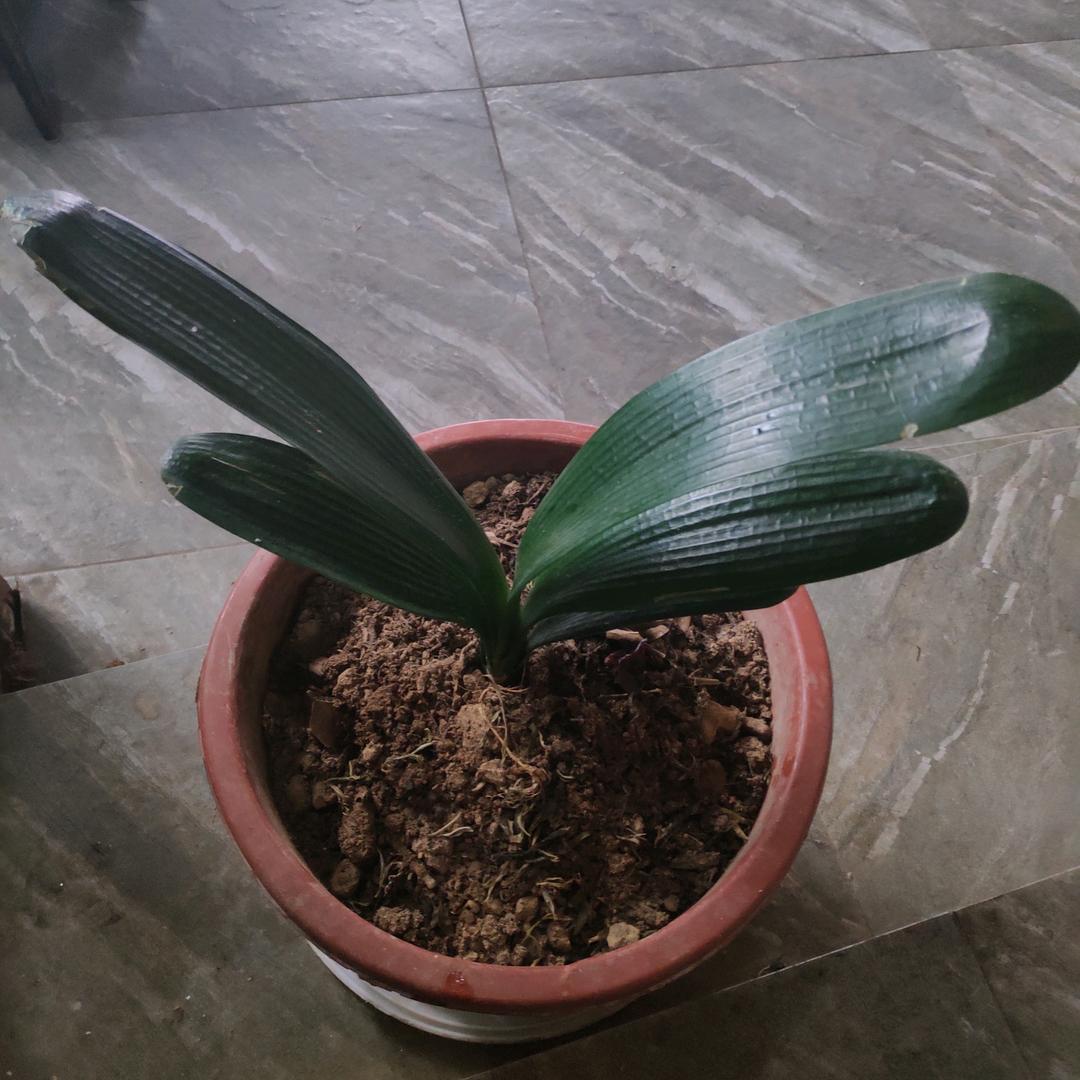 晚秋