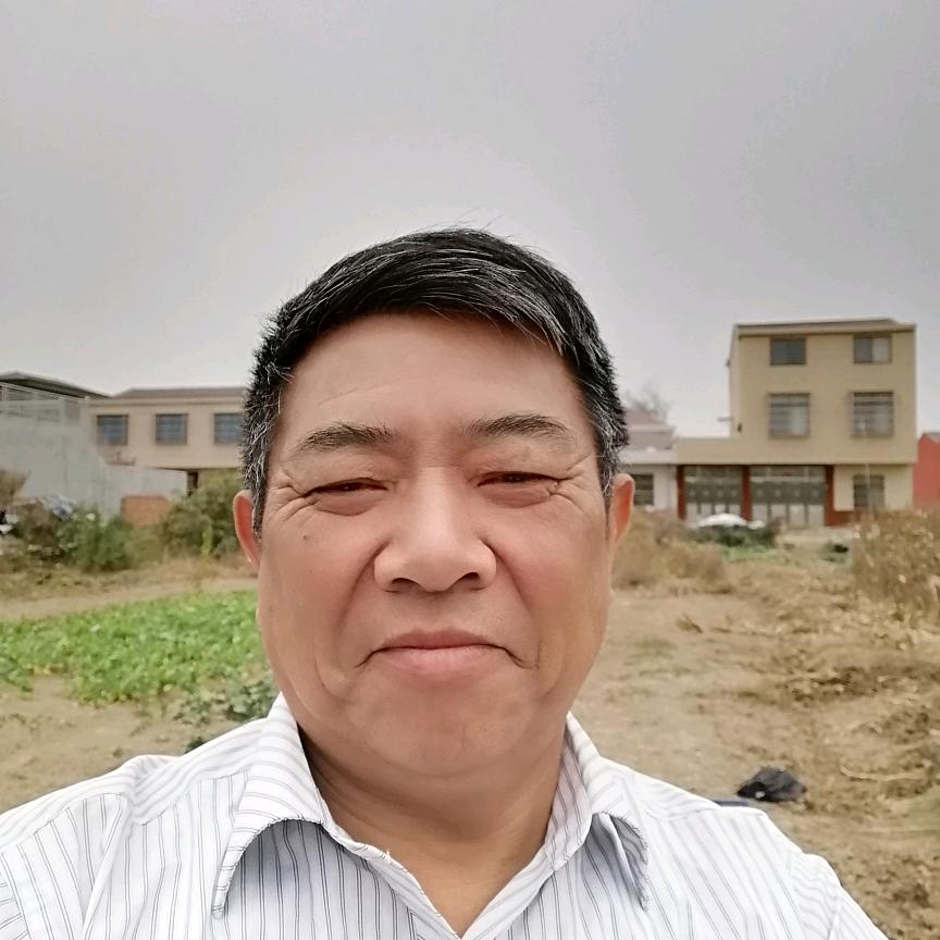 刘亚平