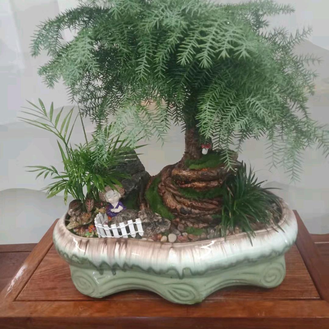 过往的云