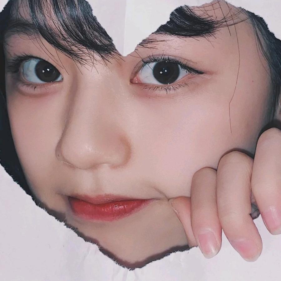 🐨考拉