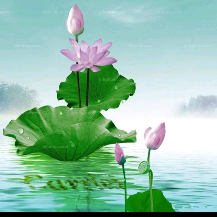 ༺黎ꦾ明🥀້໌ᮨꦿ࿐