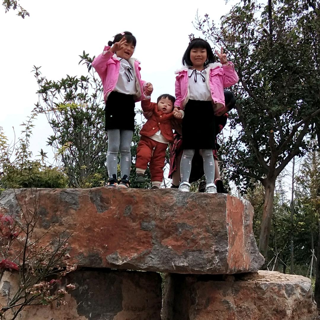 河南，广东往返六米八高栏（小曹）