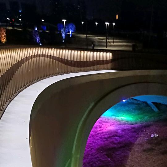 《萧》💞真爱永恒💞