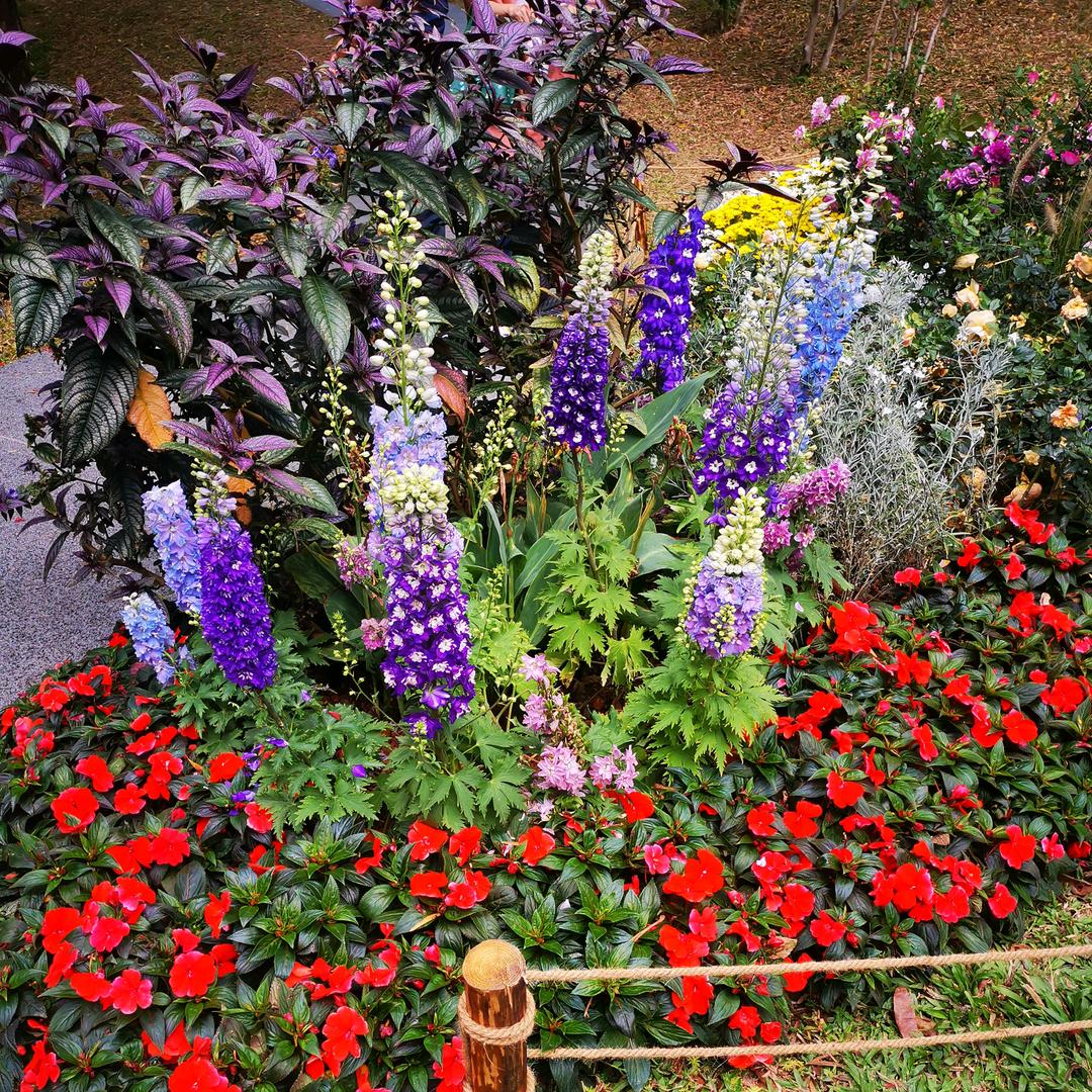 彤琳琪妈妈，好物推荐