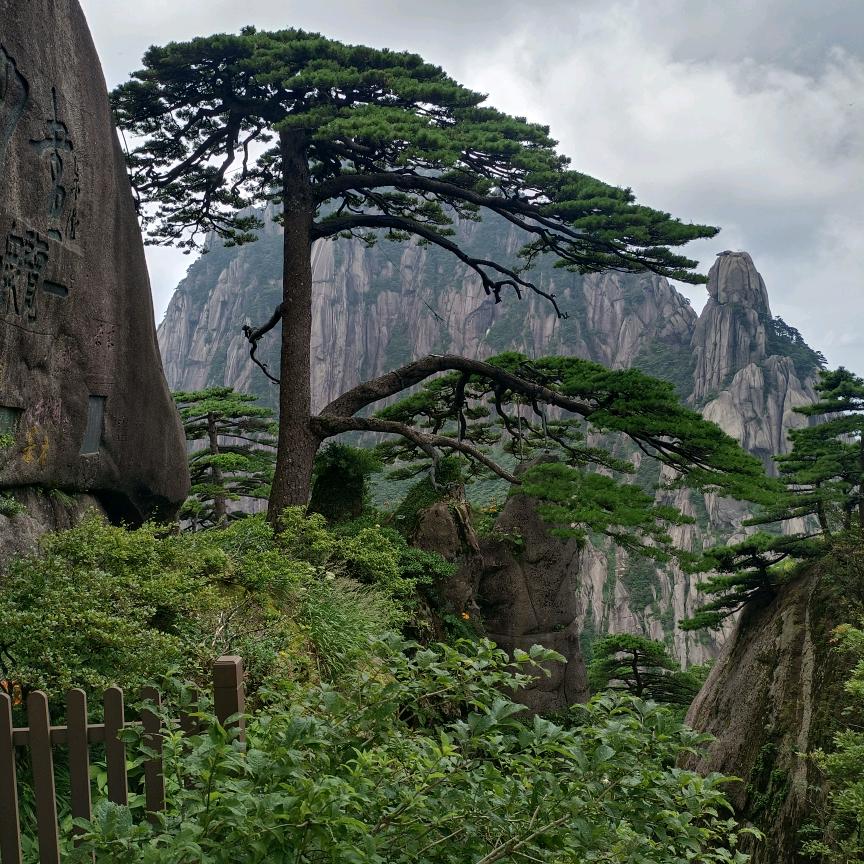 专业收购废铜，废铝，不锈钢，废铁，废塑料