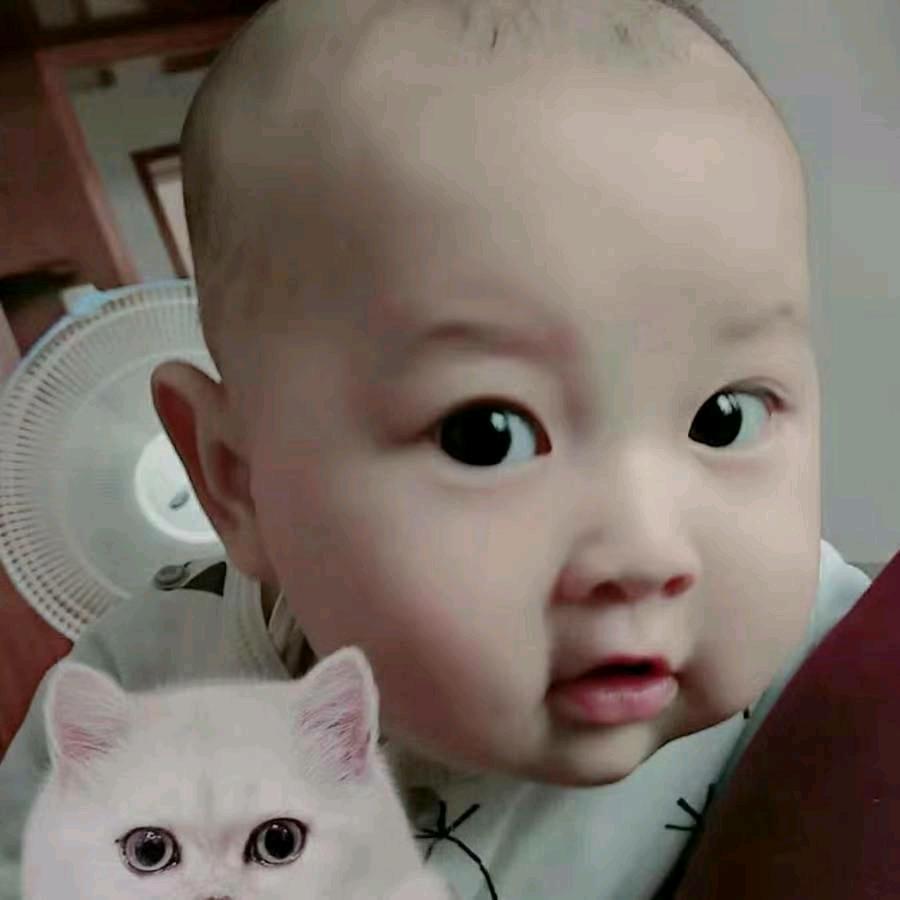 兰舍兰分♥