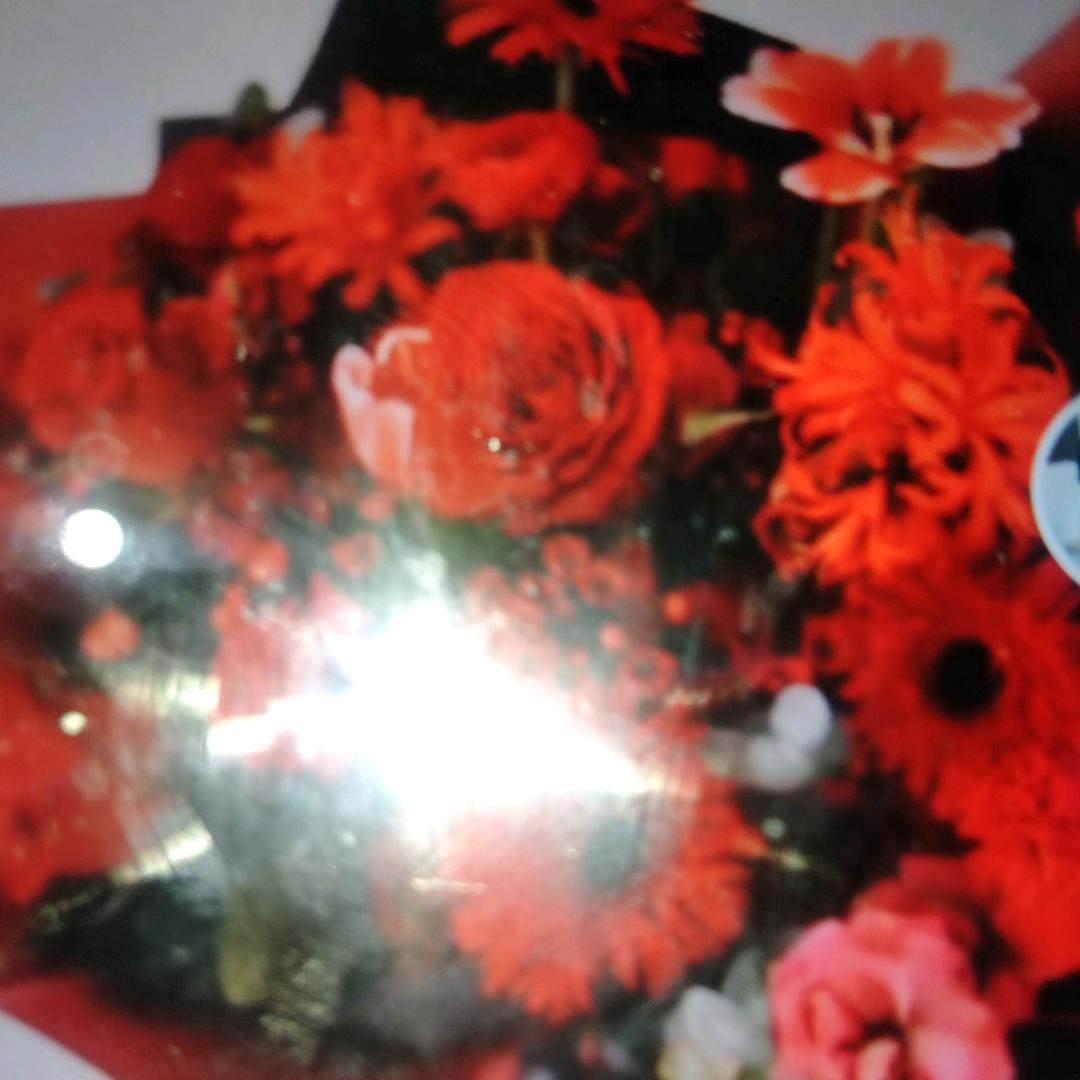 慢慢路长 开心每一天