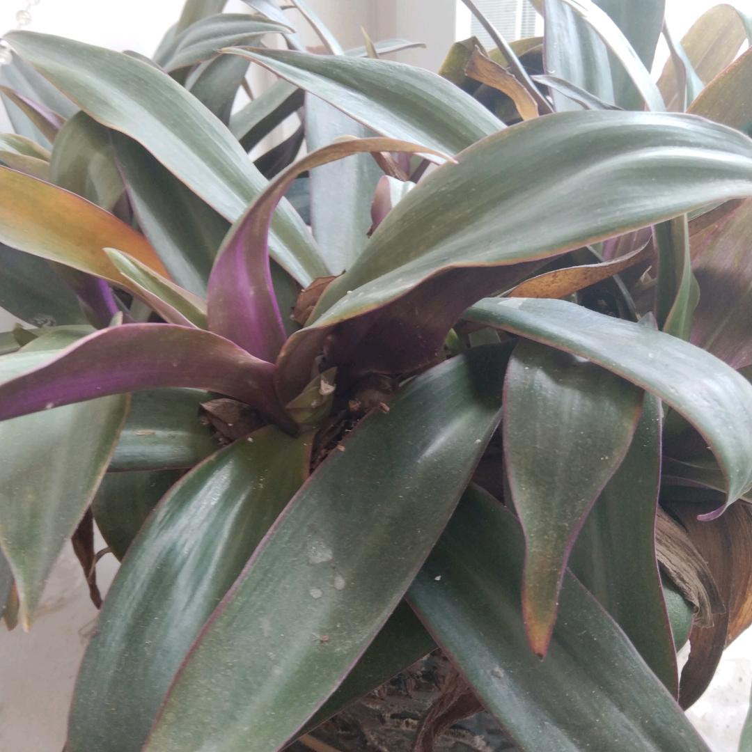 幸福美满一家人