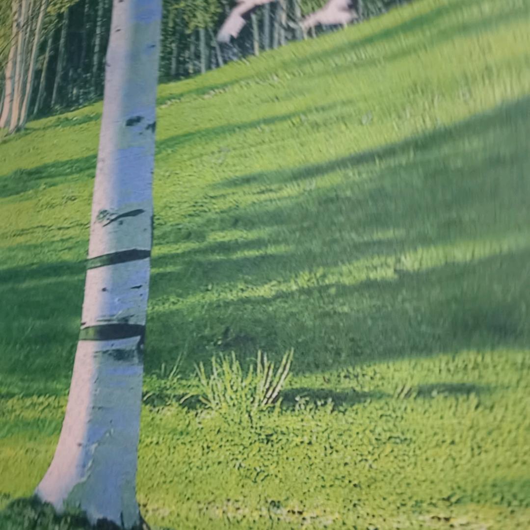 沁心