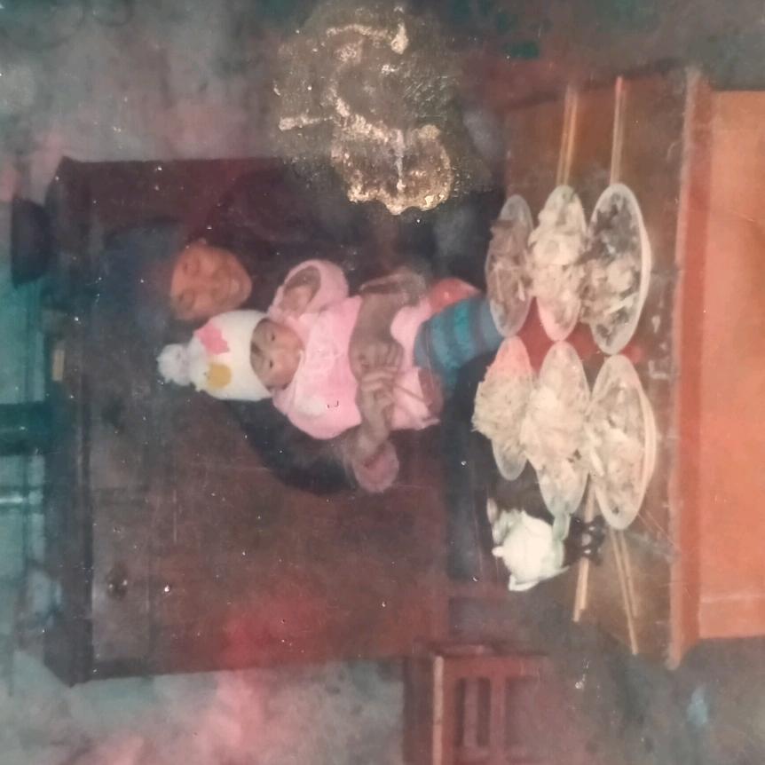 柠檬(๑><๑）小清新