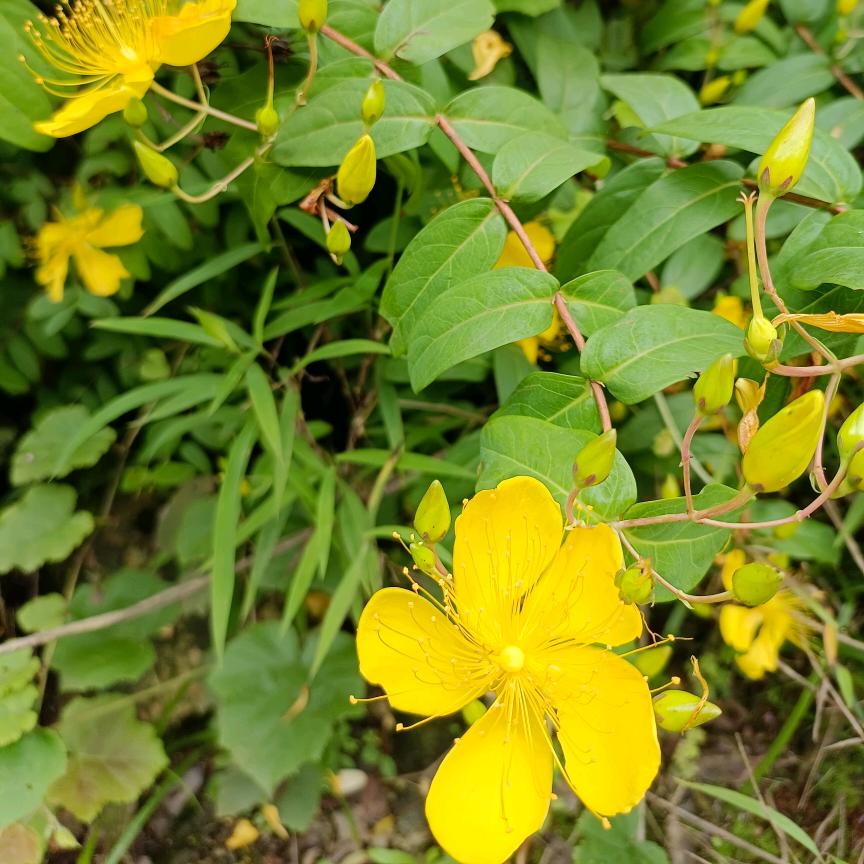 请别叫我亲爱的