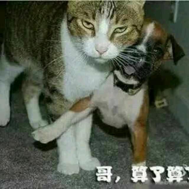 北控