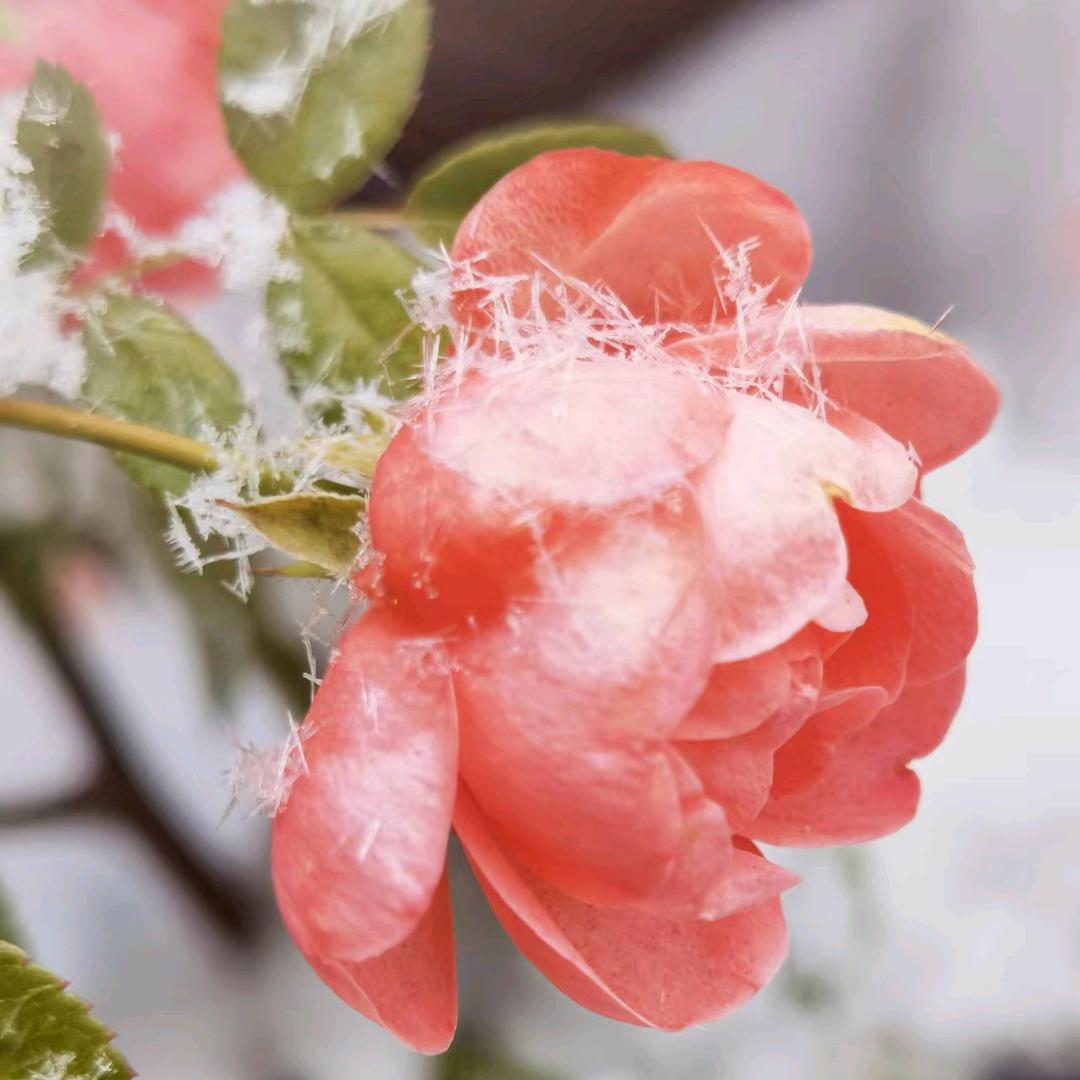 郑州升学那点事