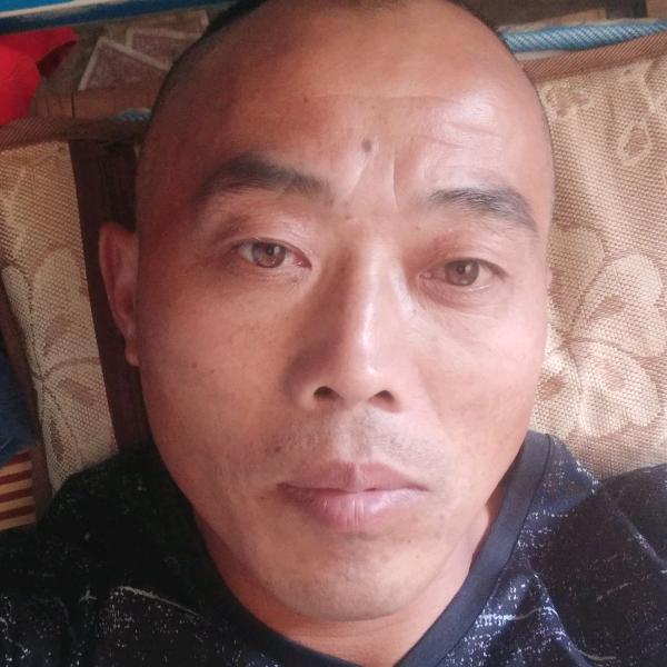 红尘客