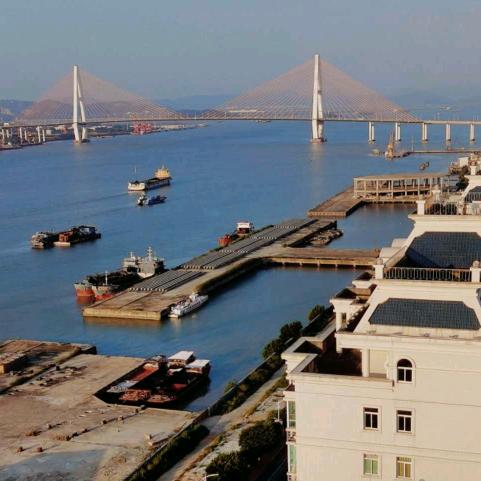 杨旋