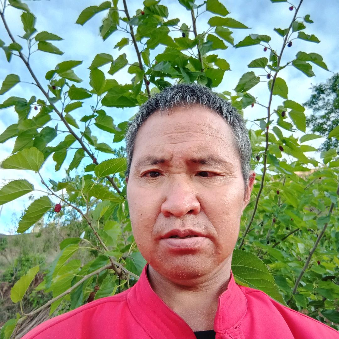 普有好