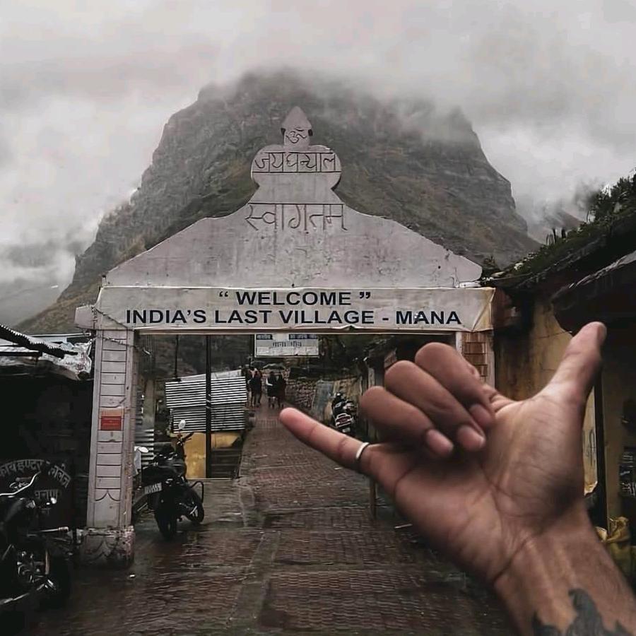 马户与又鸟