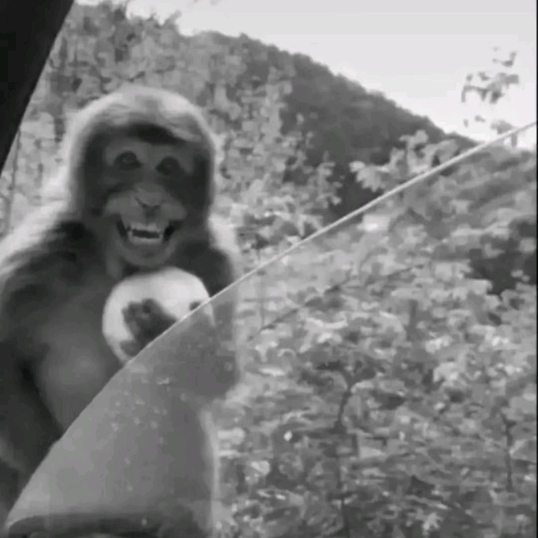 皖K男人