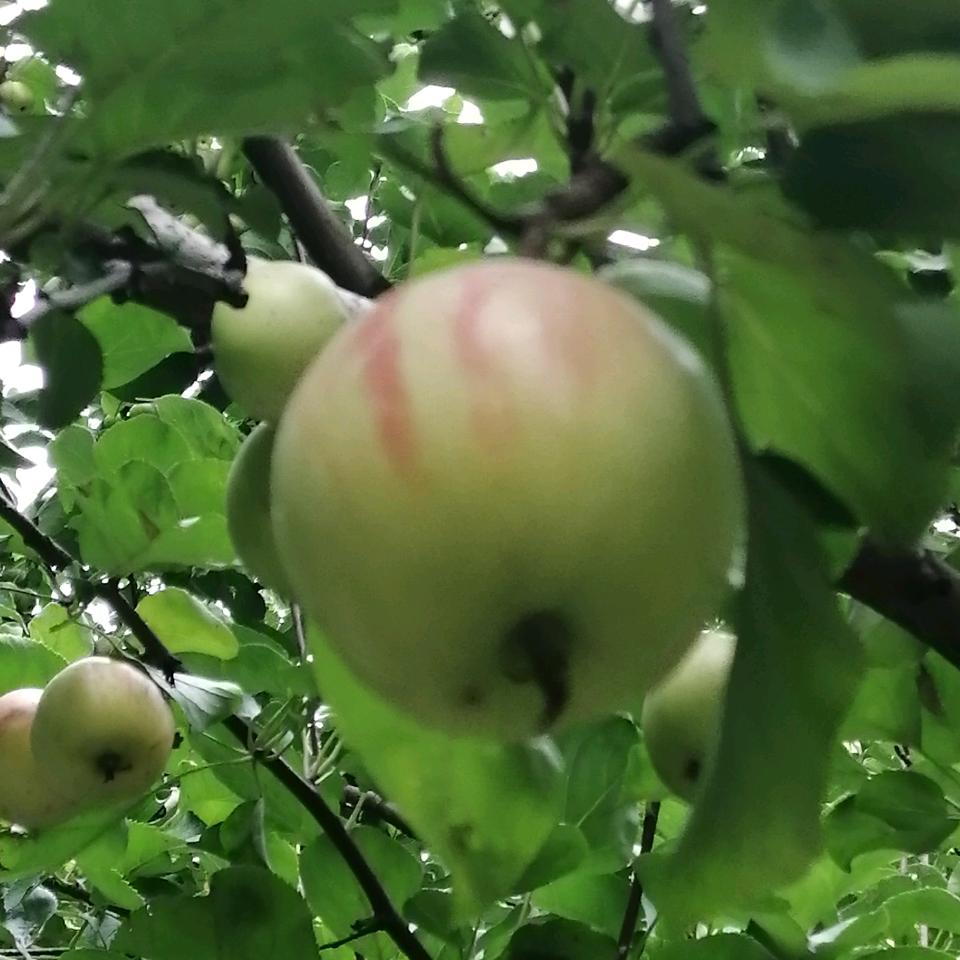 迎接美好的明天