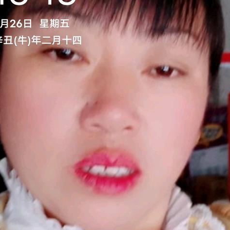 楠木王，凤儿乐队