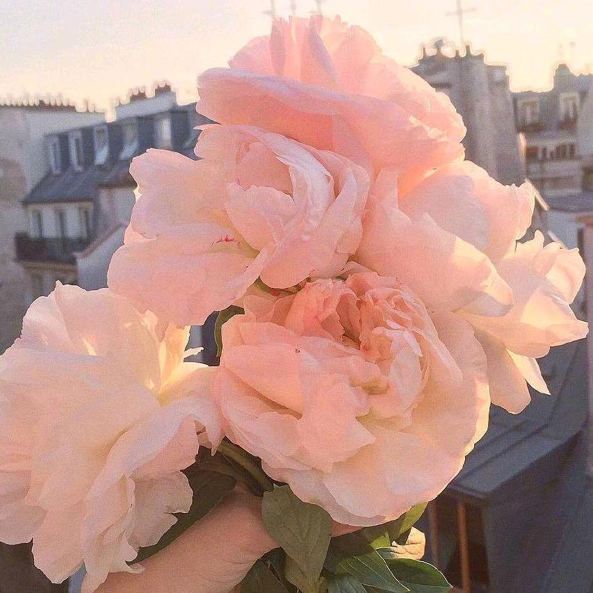 山河人力范姐—共城职聘