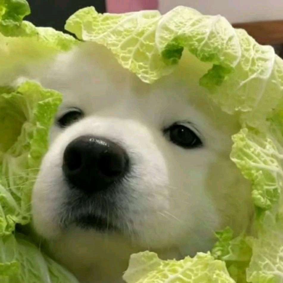 冲锋陷阵的周易头像
