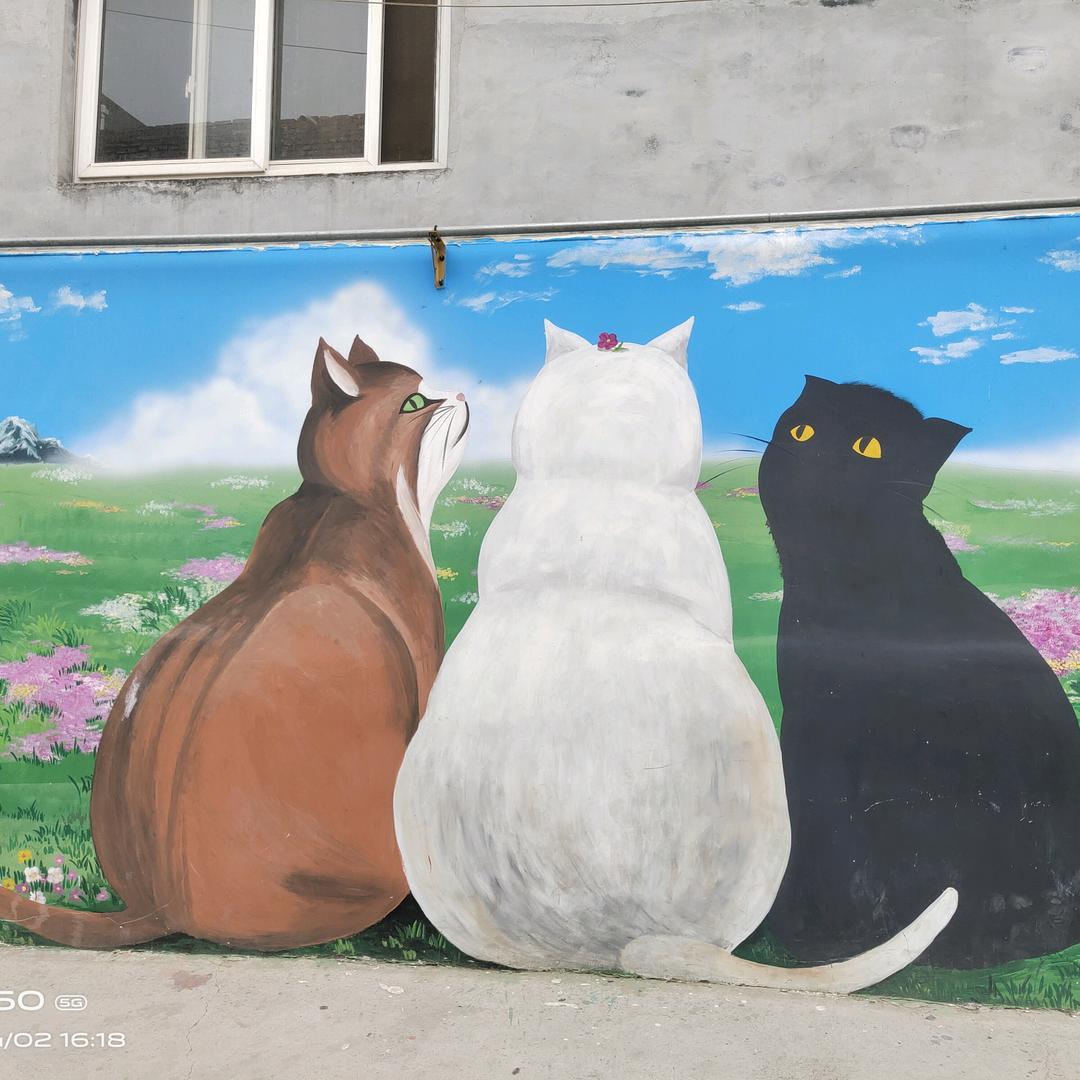 🌹七      安ོ°ꦿ