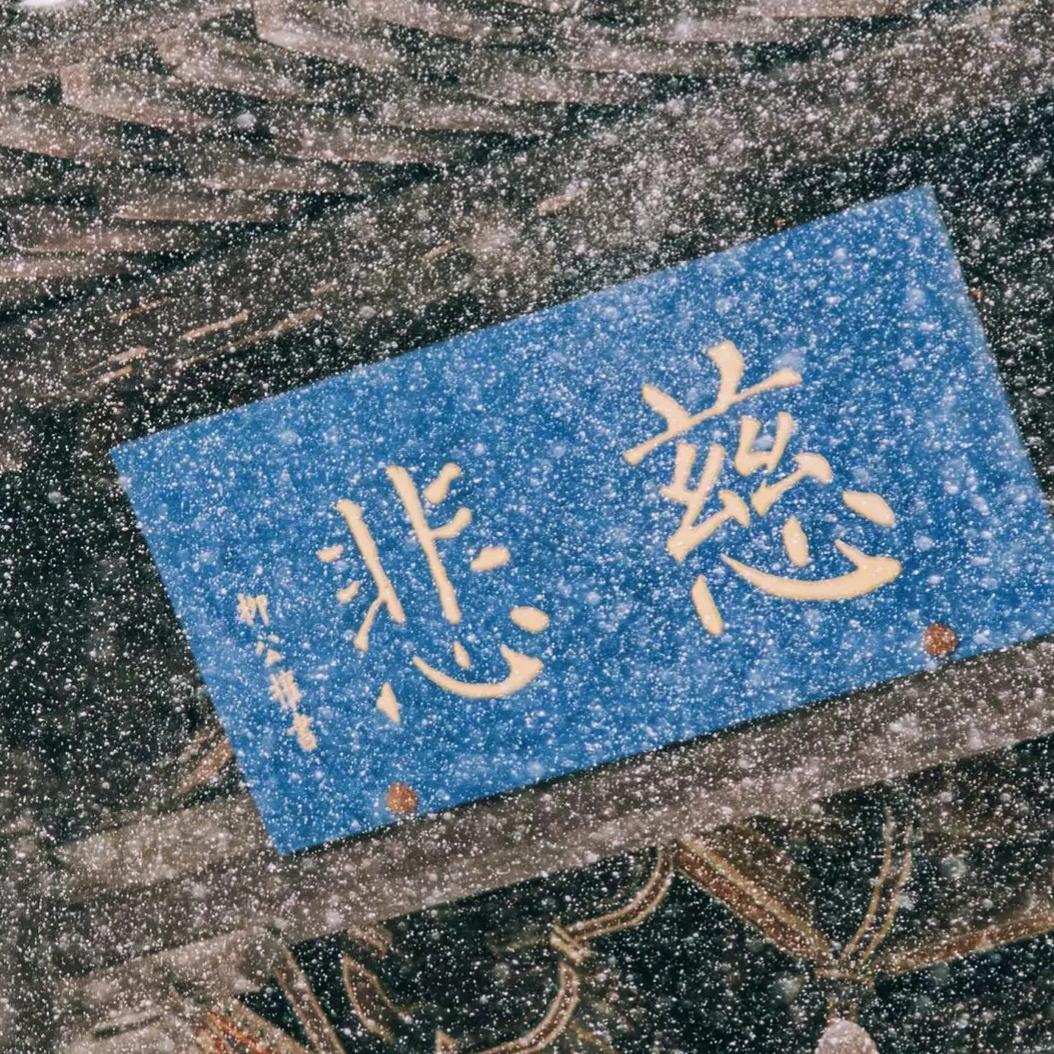 ✨梦想在飞